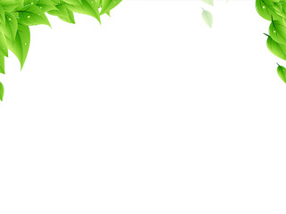 绿色叶子树叶生产月生产日PNG素材元素